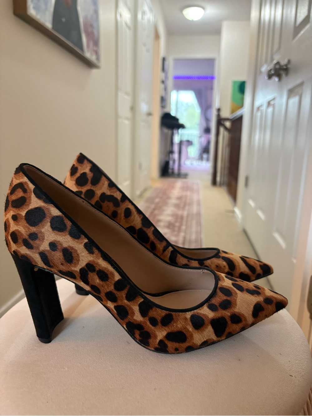 Aldo Leopard Print Pointed Pumps - Brown/Black
